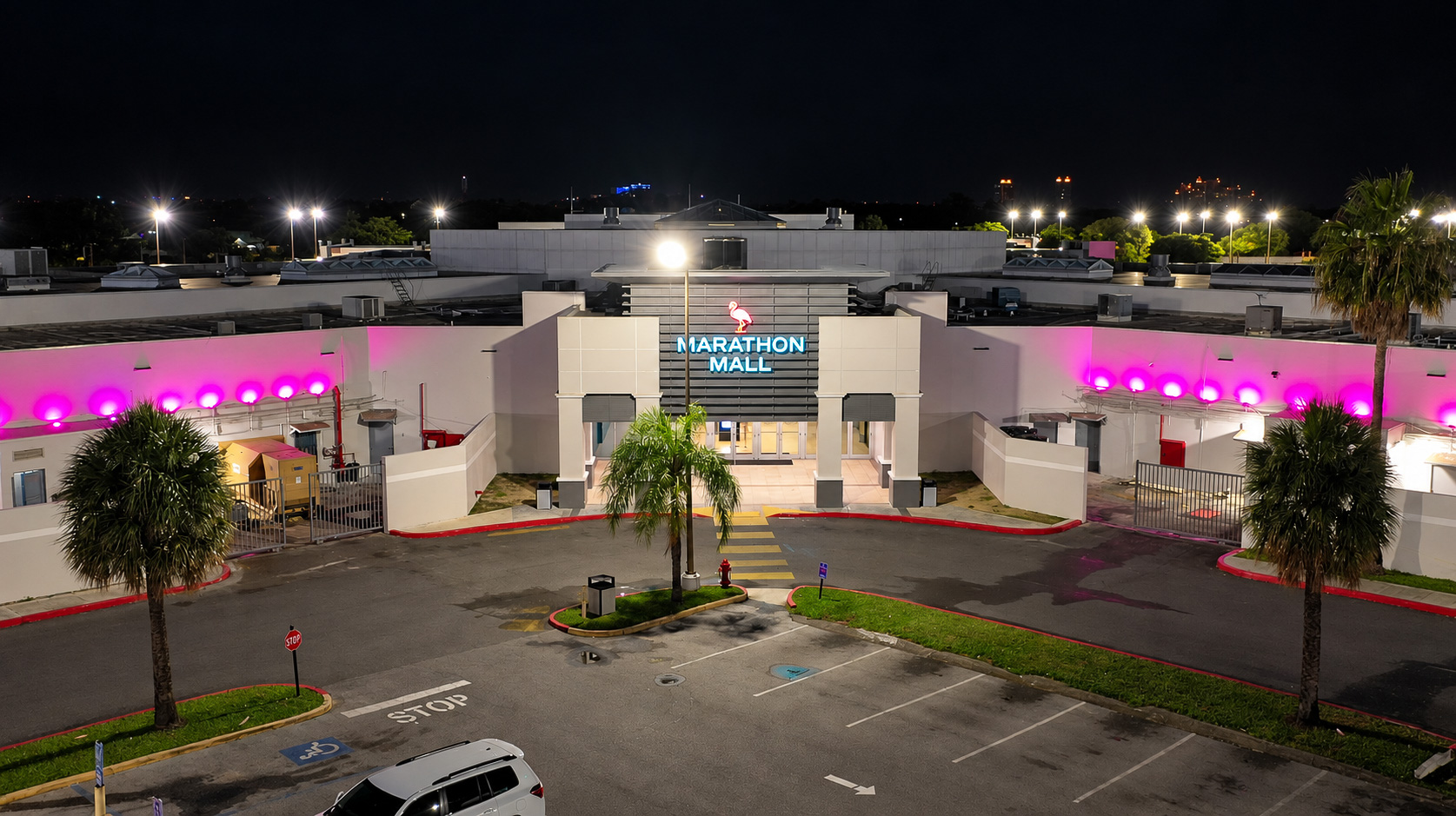 PINK LIGHTS